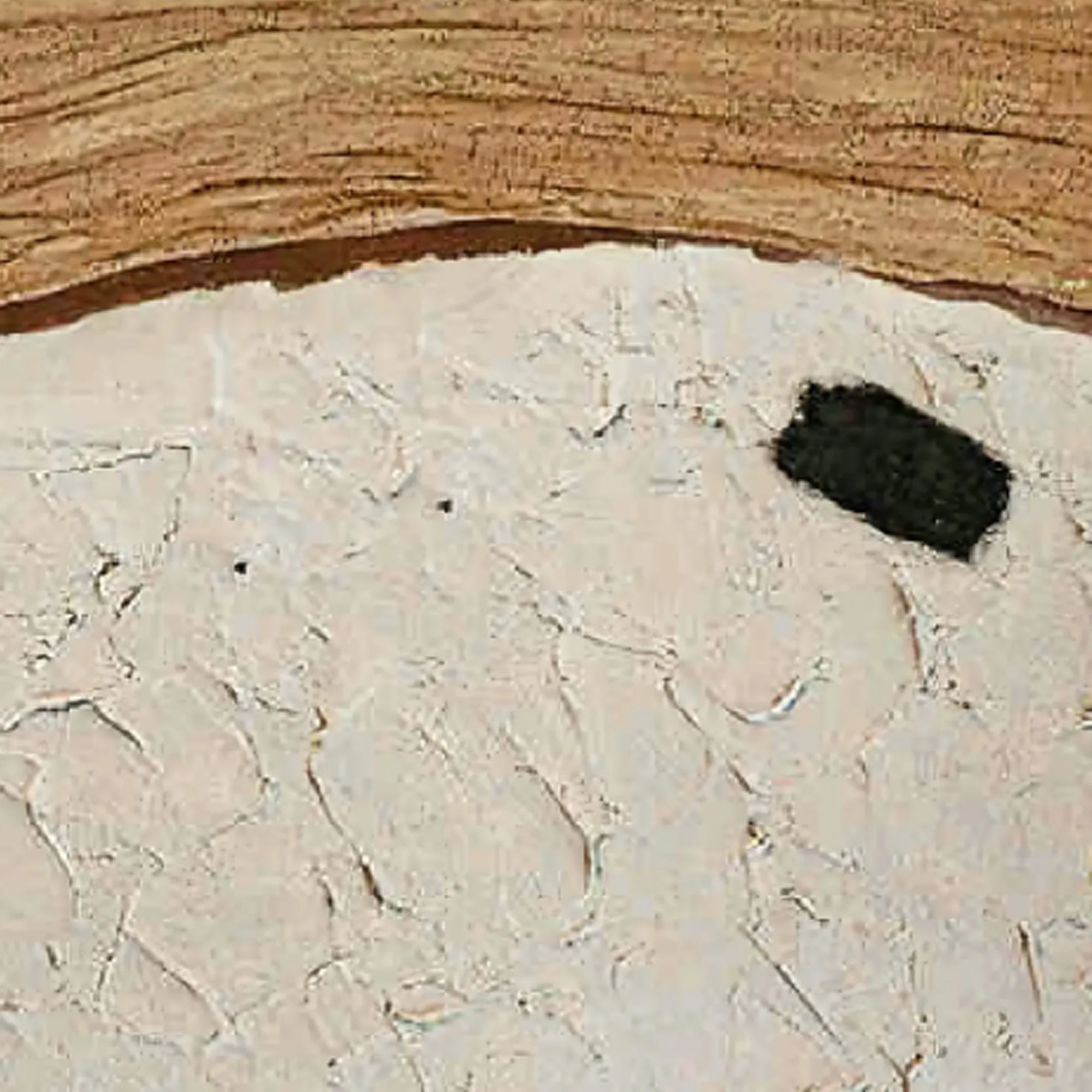 Décoration murale minimaliste nature - Sol intemporel (1)